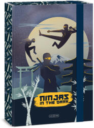Ars Una Ninjas in the dark A/4 füzetbox (50854578) - kes