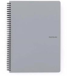 KARTON P+P Pastelini Grey A4 60 lapos vonalas spirálfüzet (8-804) - tintasziget