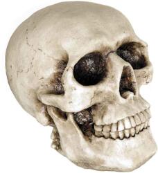 TifanTEX Pușculiță Craniu, bărbat (Pușculiță Craniu, ornament pentru) (5642E8)