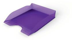 DURABLE Irattálca, műanyag, DURABLE, Basic, áttetsző lila