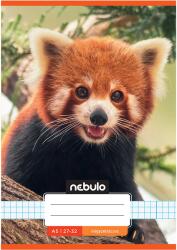 Nebulo Nebulo: Tűzött vörös panda mintás kockás füzet 27-32 A/5 (NR-2-CM-A5-20250305) - innotechshop