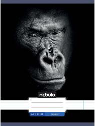 Nebulo Nebulo: Tűzött vonalas gorilla mintás füzet 81-32 A/4 (VO-AM-A4-12348015)