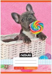 Nebulo Nebulo: Tűzött francia bulldog mintás kockás füzet 27-32 A/5 (NR-2-CM-A5-20250306) - innotechshop