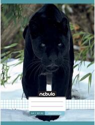 Nebulo Nebulo: Tűzött kockás füzet fekete párduc mintás 87-32 A/4 (NR-AM-A4-12348176)