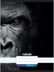 Nebulo Nebulo: Tűzött kockás grafitkék színű füzet 87-32 A/4 (NR-MGM-2-A4-12348893) - innotechshop