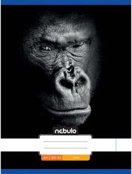 Nebulo Nebulo: Tűzött sima gorilla mintás füzet 80-32 A/4 (SI-AM-A4-12348251) - innotechshop