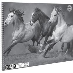 T-Creativ One Color vázlatfüzet - B4 - lovas (TC25-A2900112B4-944387-1LOVAS)