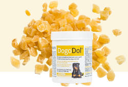 Dogoteka Dogodol - idegsejtvédő tabletta 60db (22C0001)