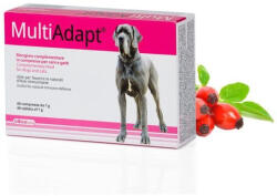 Dogoteka Multiadapt 60db - multivitamin (18C0002)