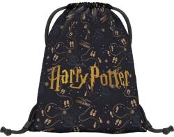 Baagl Harry Potter The Marauder's Map