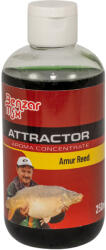 Benzár Mix Aromakoncentratum Amúr Nád 250ml (94008-259) - jadabo