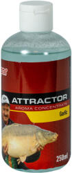 Benzár Mix Aromakoncentratum Fokhagymás 250ml (94008-246)
