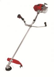 Raider RD-GBC21 (075550)