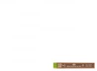 Pilot Ironbél 0, 5mm, HB PPL-5 környezetbarát (PPL-5-HB-BG) (PPL-5-HB-BG)