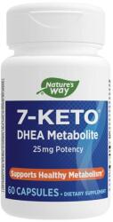 Nature's Way - 7-keto Dhea - 60 Kapszula