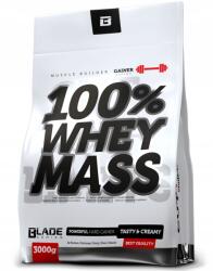 Hi Tec Nutrition Hi Tec Blade 100% Whey Mass 3000g Gainer Mass (Blade Whey Mass 3000g Czekolada)