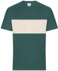 James & Nicholson (Daiber) Kontrasztcsíkos póló 8049 - Füstzöld / homokkő | 3XL (1-8049-1782974153)