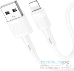 hoco. cable USB A to Lightning 2, 4A X83 1 m white