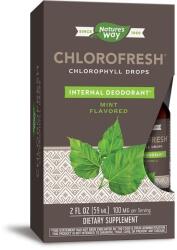 Nature's Way Chlorofresh® Chlorophyll Drops/ Хлорофреш® Хлорофил Капки х 59 ml (без алкохол) с ментов вкус Nature’s Way (10008)