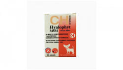 Chemical Ibérica Hyalophyt MSM MIni 90 tablete