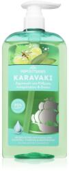 Papoutsanis Karavaki Control & Detox șampon pentru scalp gras și uscat 600 ml
