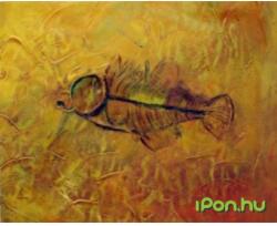  Boldog hal közepes (dcr1307-s-b)