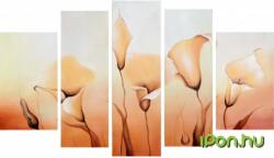  Kálák a hajnali napfelkeltében közepes (dgm06502-g5-s3)