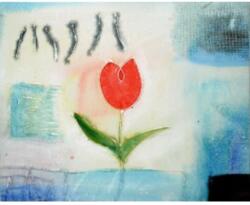  Ajándék közepes (dcr2402-s-b)