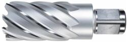 ALFRA Carota HSS ALFRA, prindere Weldon 3/4" (19mm), 38x50mm (1907038050) - bricolaj-mag