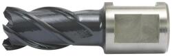 ALFRA Carota HSS-CO ALFRA, RQX, prindere Weldon 3/4" (19mm), 22x50mm (1902022050) - bricolaj-mag