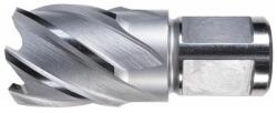 ALFRA Carota HSS ALFRA, prindere Weldon 3/4" (19mm), 47x30mm (1907047025) - bricolaj-mag