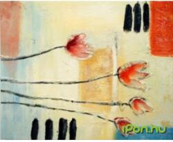  Fortitúd kicsi (dcr2407-s-a)