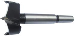 Fortis - Burghiu cilindru TC 20mm [4317784745765] (4317784745765) - bricolaj-mag