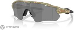 Oakley Radar EV Path szemüveg, matt fern terrazzo/Prizm Black Polarized