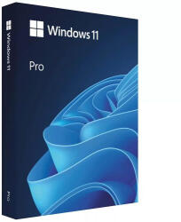 Microsoft Windows 11 Professional (WMG495405)