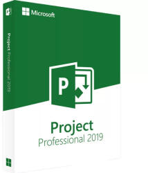 Microsoft Project 2019 Professional (WMG925075)