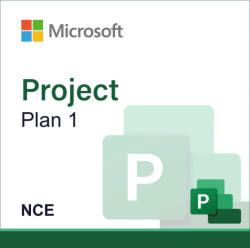 Microsoft Project Plan 1 (WMG656079)