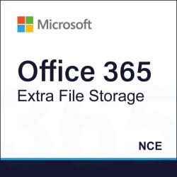 Microsoft Office 365 Extra File Storage (WMG601366)