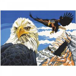 Reeves Pictura pe numere Eagles Reeves Carte de colorat
