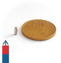 Magneo Smart Magnet neodim cilindru 2 x 5 mm N52