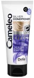 Delia Cosmetics Balsam Cameleo Silver Reflex, 200ml, Delia Cosmetics