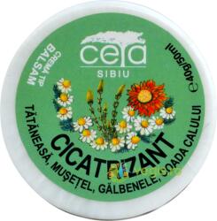CETA Sibiu Unguent cicatrizant 40 g