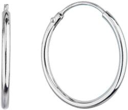 Evolution Group 61002 AG, karika (AG 925/1000; 1 g)