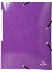 Exacompta Gumis mappa, karton, A4, EXACOMPTA Iderama , lila (EX55826E)