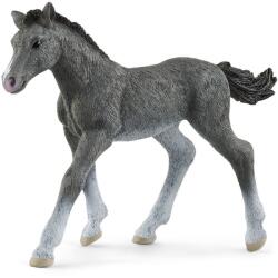 Schleich HORSE CLUB Trakehner Foal (13944) (13944)