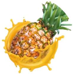 STARBAITS Pop Up G& G Global PINEAPPLE 14 mm / 20 g