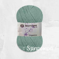 Kartopu Organica - Menta - 493
