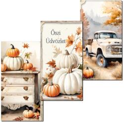 Nyomtatott dekorkarton - Fehér-narancs tök táblák 3db/csomag - kosarbolt