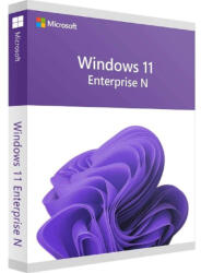Microsoft Windows 11 Enterprise N