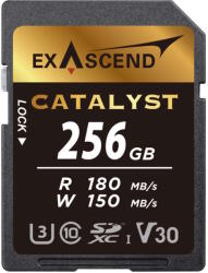 Exascend Catalyst 256GB EX256GSDU1